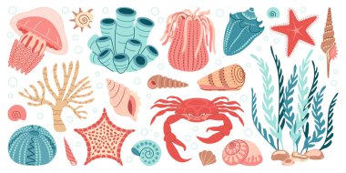 El çizimi karikatür deniz yaşamı elementleri ayarlandı. Su hayvanları, deniz şakayıkları, yengeç, algler, deniz kabukları, deniz yıldızı, mercan resifi bitkileri. Moda düz karalama, su altı ekosistemi tasarımınız için ayarlandı. Vektör illüstrasyonu
