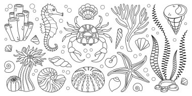 El çizimi sanat deniz yaşamı elementleri ayarlandı. Su hayvanları, deniz şakayıkları, yengeç, algler, deniz kabukları, deniz yıldızı, mercan resifi bitkileri. Suyun altında karalama tarzı ekosistem boyama kitabı. Vektör illüstrasyonu