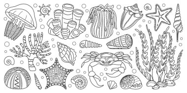 El çizimi sanat deniz yaşamı elementleri ayarlandı. Su hayvanları, deniz şakayıkları, yengeç, algler, deniz kabukları, deniz yıldızı, mercan resifi bitkileri. Suyun altında karalama tarzı ekosistem boyama kitabı. Vektör illüstrasyonu