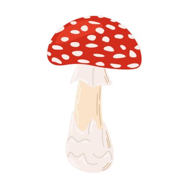 Fly agaric red poison mushroom. Hand drawn Amanita muscaria. Hallucinogenic, psychedelic forest mushroom. Trendy flat style magic fungus isolated on white. Vector illustration clipart