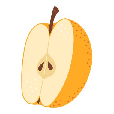 Sarı elma ikiye bölünmüş. Tohumlu bir parça taze meyve. Elmanın yarısı ikon. El çizimi moda düz stil şeffaf arka planda izole edildi. Vektör illüstrasyonu