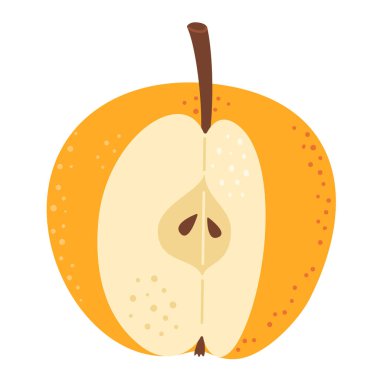 Sarı elma çizgi film ikonunu kes. Kesik elmanın çapraz kesimi, meyve dilimleri, el çizimi, şeffaf arka planda izole düz stil. İnfografik tasarım için elmayı kes. Vektör illüstrasyonu