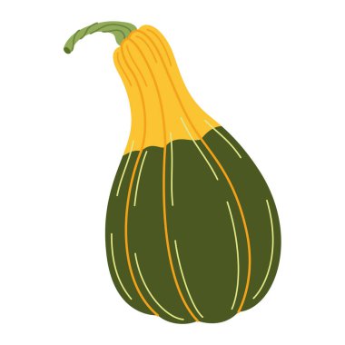 Olgun sarı yeşil balkabağı. El çizimi moda düz stil şeffaf arka planda izole. Organik yiyecekler, Sonbahar Hasadı, Şükran Günü, Cadılar Bayramı konsepti. Sağlıklı vejetaryen menüsü. Vektör illüstrasyonu