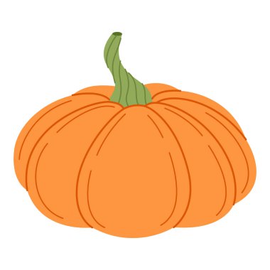 Olgun portakal kabağı. El çizimi moda düz stil şeffaf arka planda izole. Organik yiyecekler, Sonbahar Hasadı, Şükran Günü, Cadılar Bayramı konsepti. Sağlıklı vejetaryen menüsü. Vektör illüstrasyonu