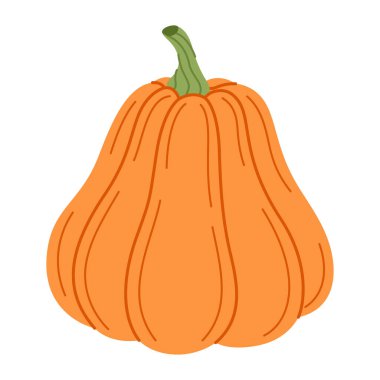 Olgun portakal kabağı. El çizimi moda düz stil şeffaf arka planda izole. Organik yiyecekler, Sonbahar Hasadı, Şükran Günü, Cadılar Bayramı konsepti. Sağlıklı vejetaryen menüsü. Vektör illüstrasyonu
