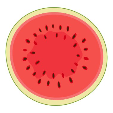 Olgun kırmızı kesim karpuz üst görünümü. El çizimi moda düz stil izole meyve organik doğal tatlı, sağlıklı tatlı kırmızı dilimlenmiş kavun yaz meyvesi. Vektör illüstrasyonu