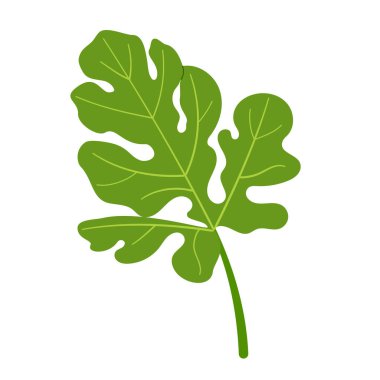 Karpuz yeşili yaprak. El çizimi moda düz stil izole botanik illüstrasyon klibi. Vektör illüstrasyonu