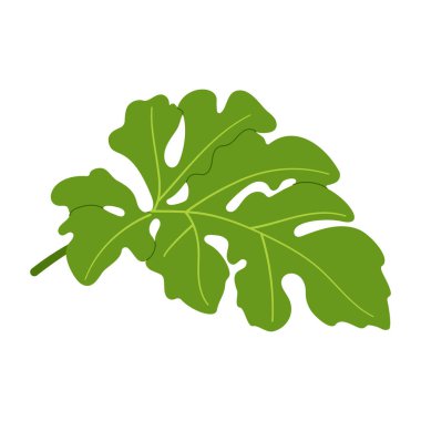 Karpuz yeşili yaprak. El çizimi moda düz stil izole botanik illüstrasyon klibi. Vektör illüstrasyonu