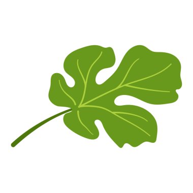 Karpuz yeşili yaprak. El çizimi moda düz stil izole botanik illüstrasyon klibi. Vektör illüstrasyonu