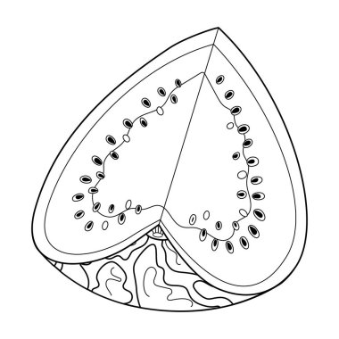 Olgun kesilmiş karpuz çizgisi sanatı. Taze karpuz kalp dilimi. El çizimi karalama stili boyama sayfası izole edilmiş meyveli organik doğal tatlı, sağlıklı sulu yaz meyveleri. Vektör illüstrasyonu