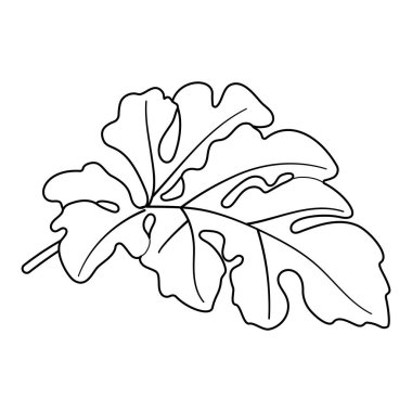 Karpuz yaprağı çizgisi resim boyama sayfası. El çizimi moda karalama stili botanik siyah beyaz resimli boyama kitabı. Vektör illüstrasyonu