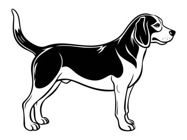 Beagle köpeği tüm vücut simgesi. Siyah beyaz logo, köpek silueti, gravür stili. Evcil hayvan karakteri. Vektör illüstrasyonu