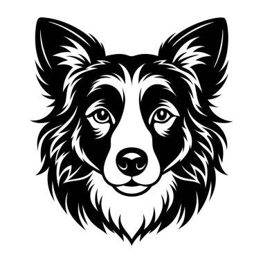 Border Collie Black ve White logosu, köpek silueti, gravür stili. Evcil hayvan karakteri. Vektör illüstrasyonu