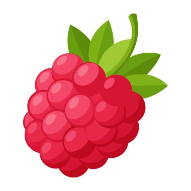 Ahududu renkli meyve. Modern soyut düz stil. Doğal tropikal meyve. Vektör illüstrasyonu