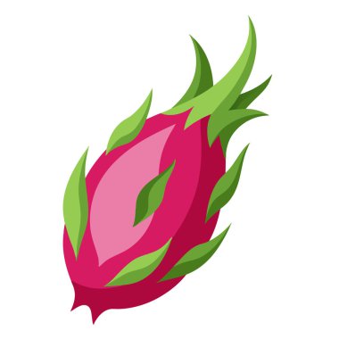 Ejderha meyvesi renkli meyve. Modern soyut düz stil. Doğal tropikal meyve. Vektör illüstrasyonu