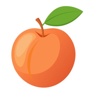 şeftali renkli meyve. Modern soyut düz stil. Doğal tropikal meyve. Vektör illüstrasyonu