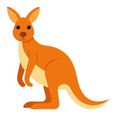 Kanguru, beyaz arka planda izole edilmiş şirin bir hayvan. Vektör illüstrasyonu