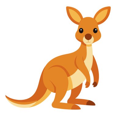 Kanguru, beyaz arka planda izole edilmiş şirin bir hayvan. Vektör illüstrasyonu