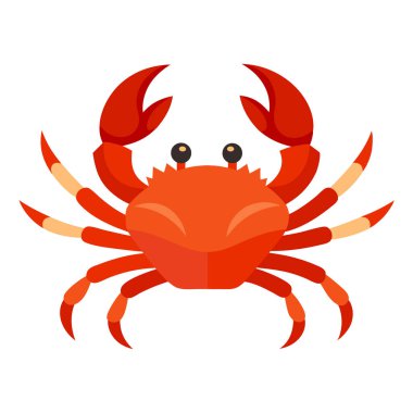 Yengeç, beyaz arka planda izole edilmiş şirin bir hayvan. Vektör illüstrasyonu