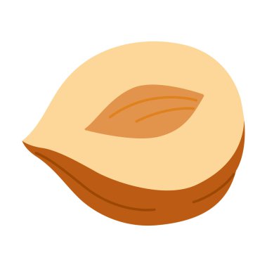 Fındık, yarım çekirdek, olgun ve lezzetli, sağlıklı bir ziyafet, atıştırmalıklar. El çizimi modaya uygun düz biçim izole edilmiş Vektör illüstrasyonu