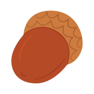 Meşe ağacı. Meşe ağacı meyvesi. El çizimi modaya uygun düz stil beyaz arka planda izole. Vektör illüstrasyonu