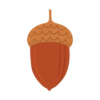 Meşe ağacı. Meşe ağacı meyvesi. El çizimi modaya uygun düz stil beyaz arka planda izole. Vektör illüstrasyonu