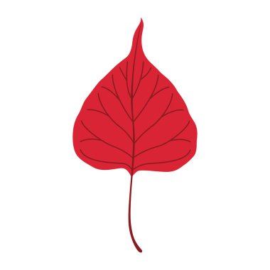 Sonbahar ıhlamur yaprağı. El yapımı moda düz stil izole edilmiş. Sonbahar yaprağı, altın mevsim. Vektör illüstrasyonu