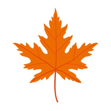 Sonbahar akçaağaç yaprağı. El yapımı moda düz stil izole edilmiş. Sonbahar yaprağı, altın mevsim. Vektör illüstrasyonu