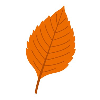 Sonbahar karaağaç yaprağı. El yapımı moda düz stil izole edilmiş. Sonbahar yaprağı, altın mevsim. Vektör illüstrasyonu