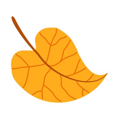 Sonbahar ıhlamur yaprağı. El yapımı moda düz stil izole edilmiş. Sonbahar yaprağı, altın mevsim. Vektör illüstrasyonu