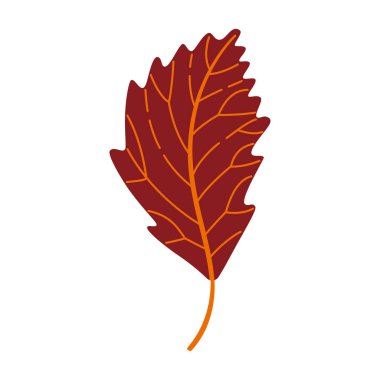 Sonbahar karaağaç yaprağı. El yapımı moda düz stil izole edilmiş. Sonbahar yaprağı, altın mevsim. Vektör illüstrasyonu