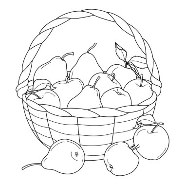 Çocuklar ve yetişkinler için elma ve armut renkli meyve sepeti. Elma ve armut hasadı. El çizimi siyah ve beyaz Vektör illüstrasyonu