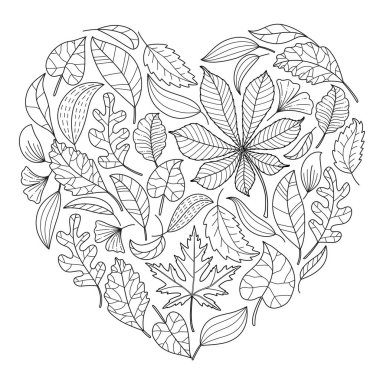 Sonbahar yaprakları ve tohumları dökülüyor. Kestane, kestane, kavak, meşe, akçaağaç, karalama stili. El çizimi siyah beyaz izole edilmiş. Çocuklar ve yetişkinler için sonbahar yaprakları boyama sayfası sanat terapisi.