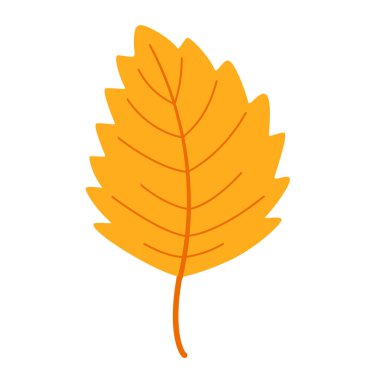 Sonbahar Huş Ağacı Yaprağı. El yapımı moda düz stil izole edilmiş. Sonbahar yaprağı, altın mevsim. Vektör illüstrasyonu