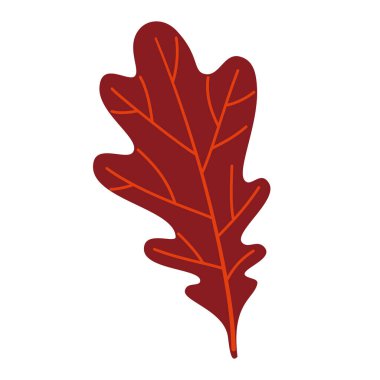 Güz Meşesi Yaprağı. El yapımı moda düz stil izole edilmiş. Sonbahar yaprağı, altın mevsim. Vektör illüstrasyonu