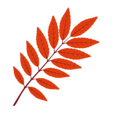 Sonbahar hasta yaprağı. El yapımı moda düz stil izole edilmiş. Sonbahar yaprağı, altın mevsim. Vektör illüstrasyonu