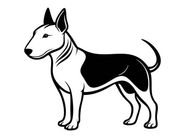 Bull terrier köpek ikonu. Siyah beyaz logo, köpek silueti, gravür stili. Evcil hayvan karakteri. Vektör illüstrasyonu