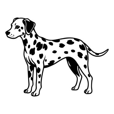 Dalmaçyalı köpek ikonu. Siyah beyaz logo, köpek silueti, gravür stili. Evcil hayvan karakteri. Vektör illüstrasyonu