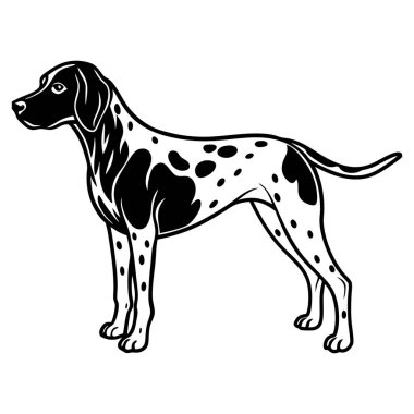 Deutsch Kurzhaar köpek ikonu. Siyah beyaz logo, köpek silueti, gravür stili. Evcil hayvan karakteri. Vektör illüstrasyonu