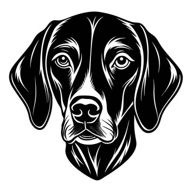 deutsch kurzhaar dog icon. Black and white logo, dog silhouette, engraving style. Pet character. Vector illustration clipart