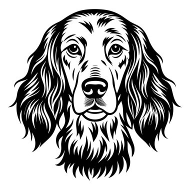 İngilizce setter köpek ikonu. Siyah beyaz logo, köpek silueti, gravür stili. Evcil hayvan karakteri. Vektör illüstrasyonu