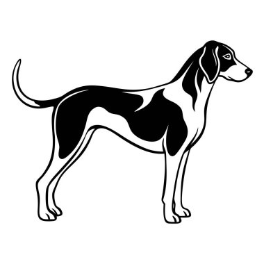 Foxhound dog tüm vücut simgesi. Siyah beyaz logo, köpek silueti, gravür stili. Evcil hayvan karakteri. Vektör illüstrasyonu