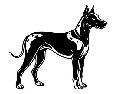 Büyük Dan köpek ikonu. Siyah beyaz logo, köpek silueti, gravür stili. Evcil hayvan karakteri. Vektör illüstrasyonu