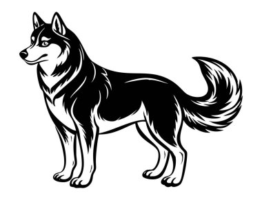 İri yarı köpek ikonu. Siyah beyaz logo, köpek silueti, gravür stili. Evcil hayvan karakteri. Vektör illüstrasyonu