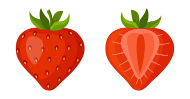 Taze tatlı çilekler. Yarı yarıya ve bütün kırmızı böğürtlen. El çizimi yaz çileği moda düz stili tasarım için izole edilmiş. Vektör illüstrasyonu