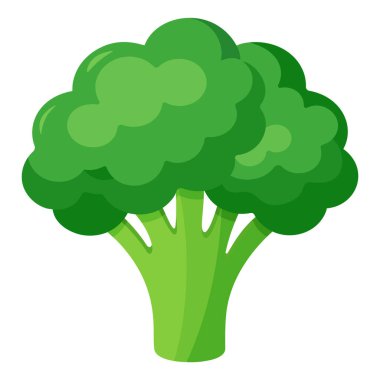 Yemek pişirmek için brokoli sebzesi. Parlak bir element. El çizimi moda düz stil tasarım için izole. Vektör illüstrasyonu