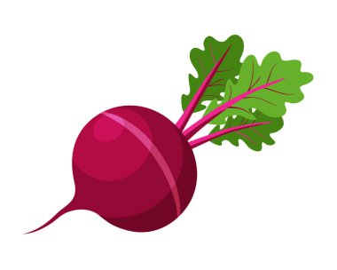 Yemek pişirmek için pancar sebzesi. Parlak bir element. El çizimi moda düz stil tasarım için izole. Vektör illüstrasyonu