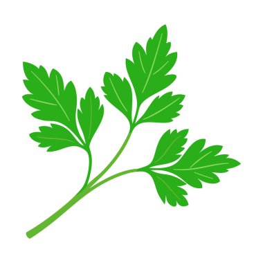 Yemek pişirmek için maydanoz sebzesi. Parlak bir element. El çizimi moda düz stil tasarım için izole. Vektör illüstrasyonu