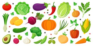 Renkli sebzeler ve salata ikonu. Modern Hand düz moda çizdi. Organik vejetaryen yemekleri. Domates soğanlı patatesli pırasa patatesli mısır biberli salatalık. Vektör düz resimleme