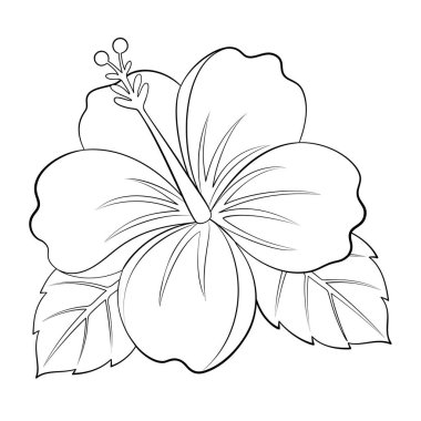 Hibiscus karalama tarzı sanat. Çiçekçi El siyah beyaz çizilmiş. Web grafik tasarım poster dövme boyama sayfası için tropikal egzotik bitki yaprağı ögesi. Vektör illüstrasyonu